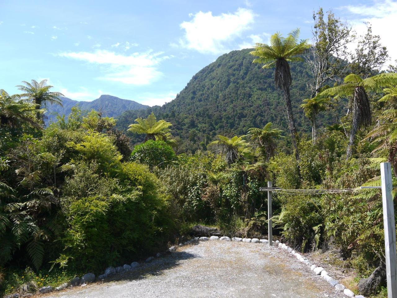 Franz Josef Treetops Екстер'єр фото