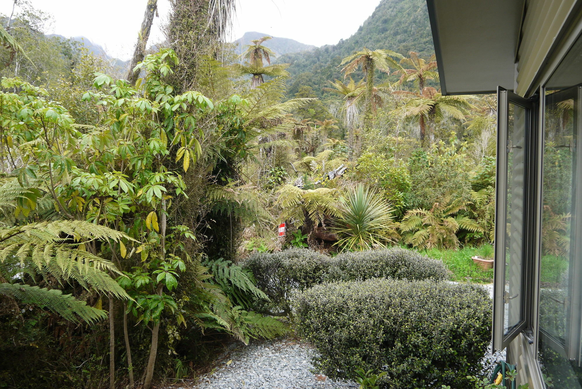 Franz Josef Treetops Екстер'єр фото